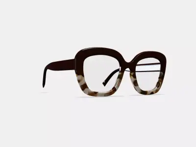 Gabriela Eyeglasses in Ganache Tortoise Fade 3D model