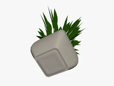 Plant in a Pot 3D model