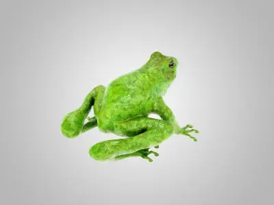 Frog Green 3D model