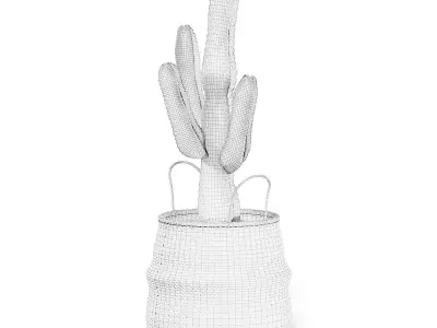 Cactus in Wicker Basket 3D Model 3D model
