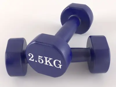 Metal 5kg Dumbell 3D model