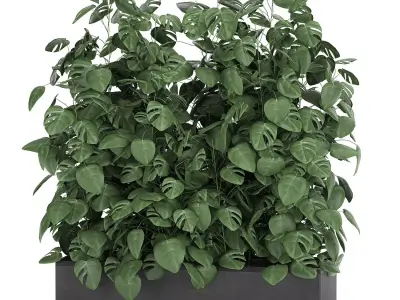 Monstera in a pot for the interior 776 3D model