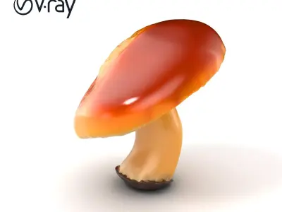 Young Chanterelle Mushroom Curvature model pack Low-poly 3D model