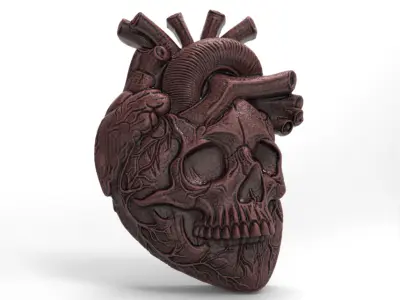  Anatomical Heart Skull 3D Model for CNC Carving and 3D Printing 3D print model