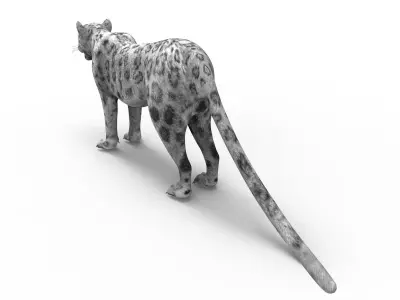 Game ready White Leopard 3D Low-poly 3D model