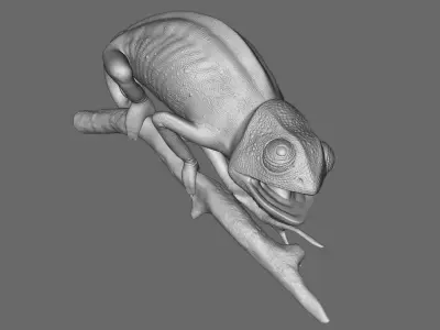 Chameleon 3D model