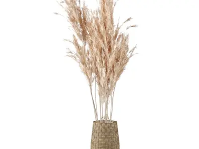 Pampas Decoration with Natural basket 3D model