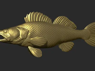 Zander on the base 3D print model