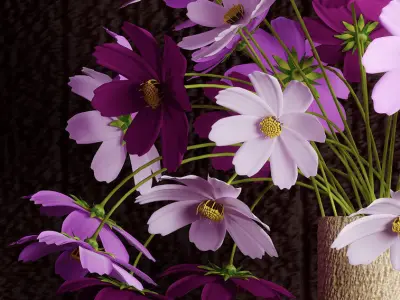 cosmos flowers 3D model
