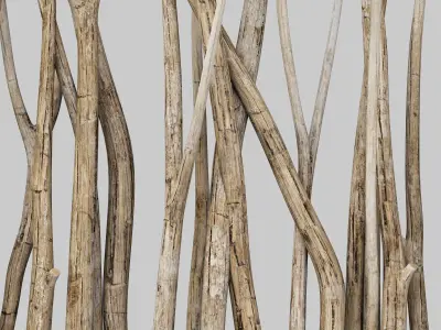 Branch old screen n2 3D model