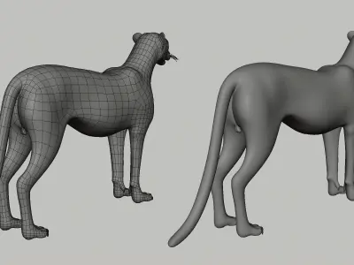 Cheetah Model Low-poly 3D model