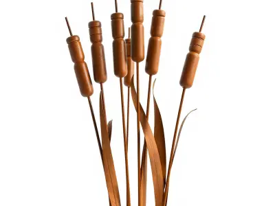 Cattail Plant D Model Pack Low-poly 3D model
