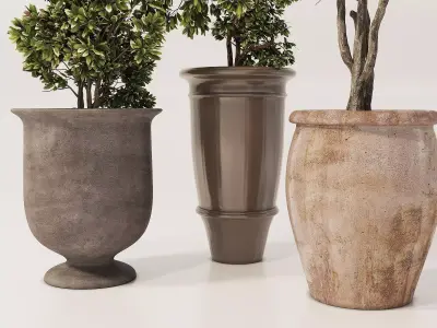 Potted Plants Collection 1  3D Models 3D model