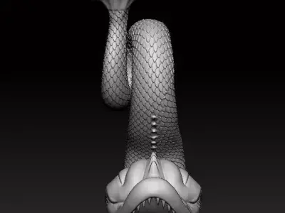fish 3d Model 3D print model