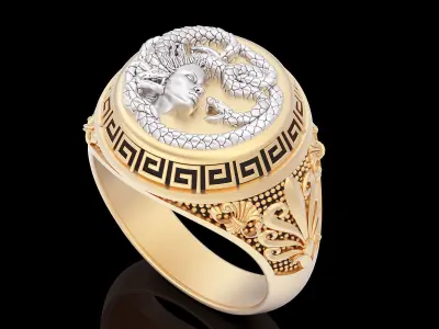Medusa snake ring  gold  jewelry printable 3D model 3D print model