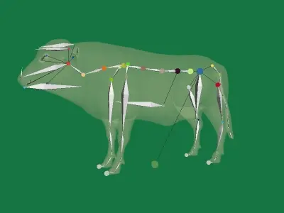 White Bull Cattle Low-poly 3D model