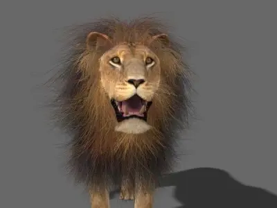 MAjestic Lion - 3d model 3D model