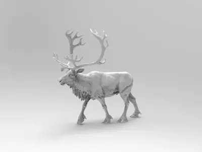 Deer 5 3D model