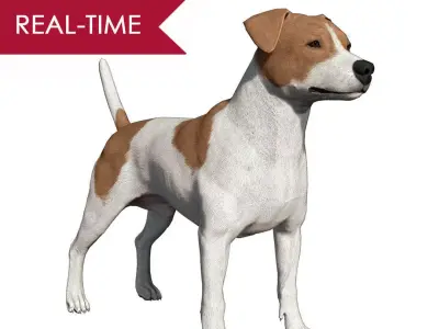 Jack Russell Real-Time Low-poly 3D model