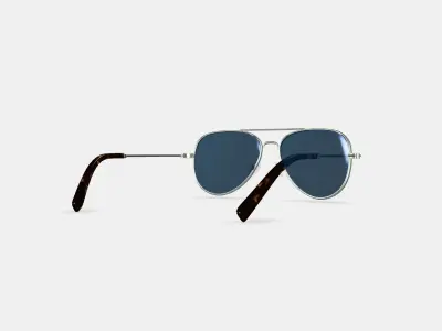 Raider Sunglasses in Polished Silver Low-poly 3D model