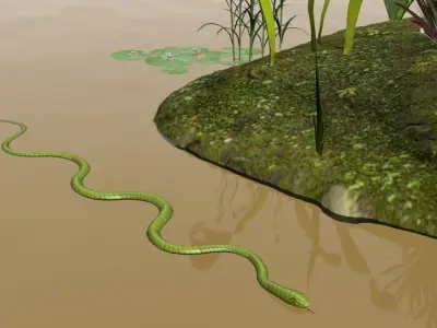 swamp assets 3D model