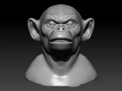Monkey head 3d  model 3D model