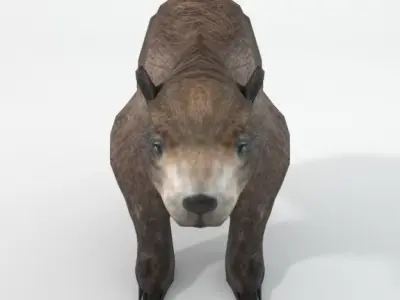 Grizzly bear Low-poly 3D model