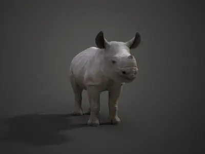 Rhino Baby Animated  VFX Grace 3D model