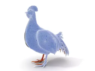 Vibrant Rooster model pack Low-poly 3D model