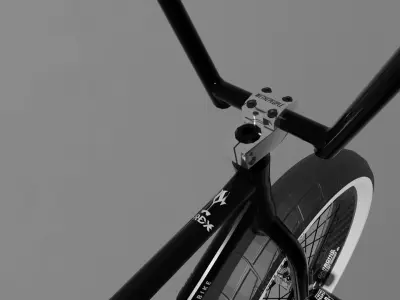 Bmx Bike Bicycle Cycling Velo Extreme Low-poly 3D model