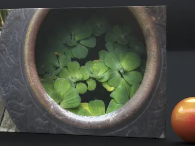 CANVAS PRINT TITLE THAI WATER LILLY 3D model