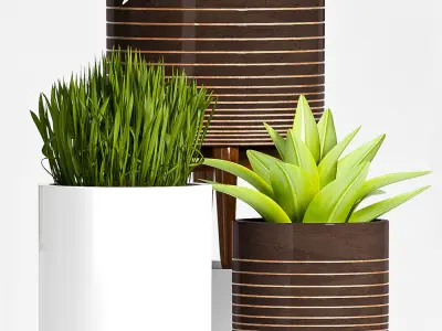 Decorative plant set-55 3D model
