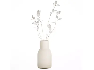 Dried Flowers From Branches Lunnik Lunaria in a vase 529 3D model