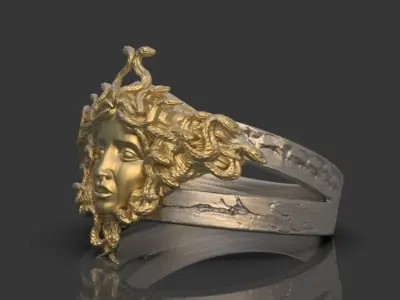 Gorgon Head Ring  3D print model