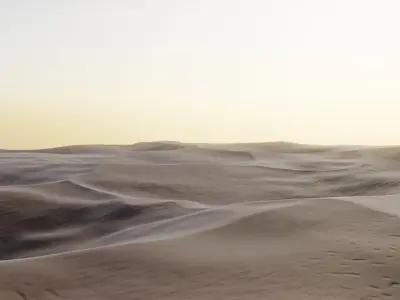 Desert Sand 3D model Free 3D model