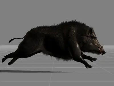 piggy Boar v1 Low-poly 3D model