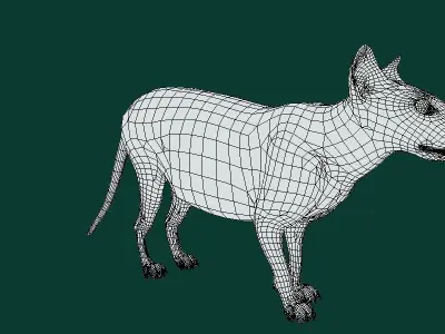 Fossa Animal 3D model