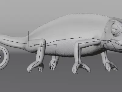-Flap Necked Chameleon - Chamaeleo Dilepis Rigged- 3D model