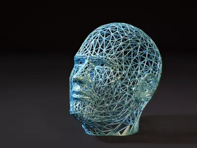 Head voronoi 3D print model