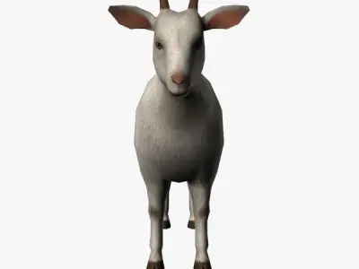 Goat 3D Low-poly 3D model