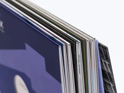 A few vinyls 3D model