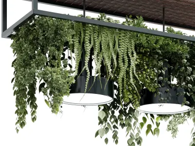 Hanging Plants - pot light - pendant plant - hanging light 563 3D model