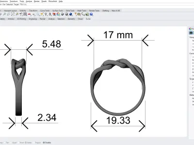 Chain Ring Jewelry Gold 3D print model