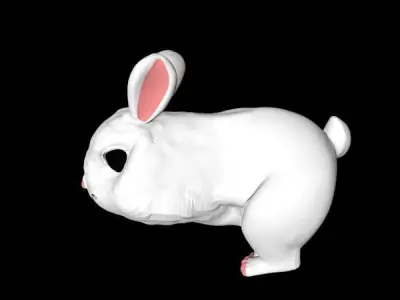 Snowball rabbit 3D model