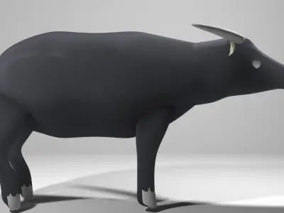Buffalo - Asia 3D model