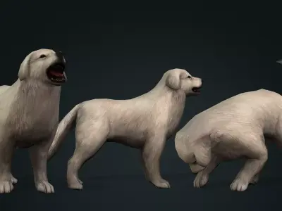 dog character rigged animated Low-poly 3D model