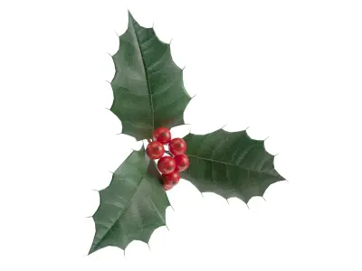 Christmas decorations 3D Model Collection