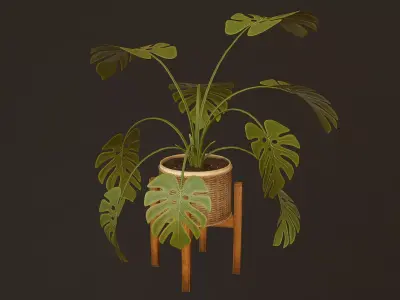 Monstera Plant - PBR Game Ready Low-poly 3D model