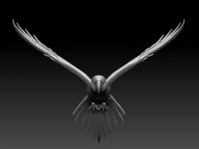 parrot flying in air 3D print model