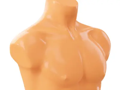 Mannequin male torso demonstration 3D model